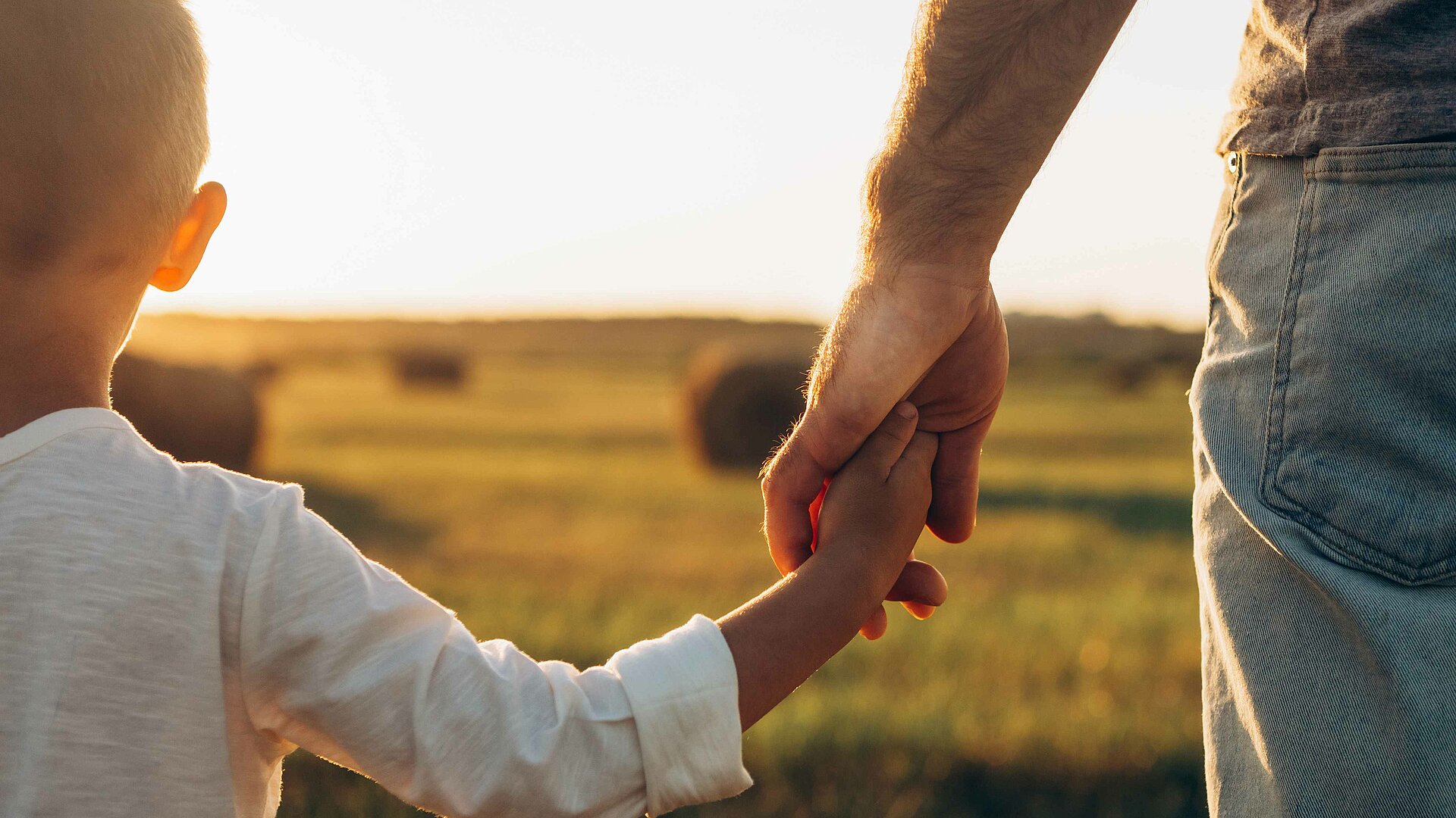 Ein Kind hält die Hand einer erwachsenen Person beim Spaziergang in der Natur.