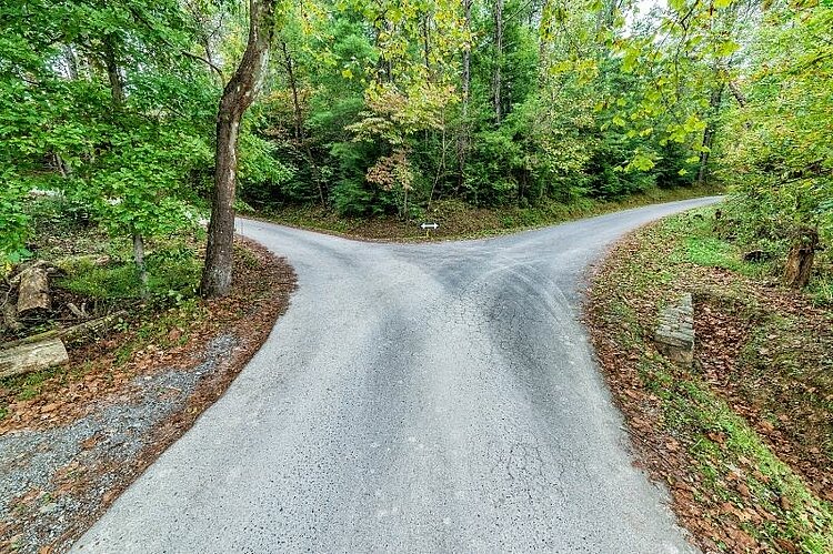 Eine Straße im Wald teilt sich in zwei Richtungen.